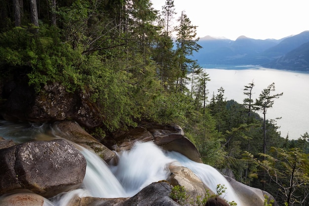 Acqua che scorre intorno alle rocce in cima alle cascate di Shannon