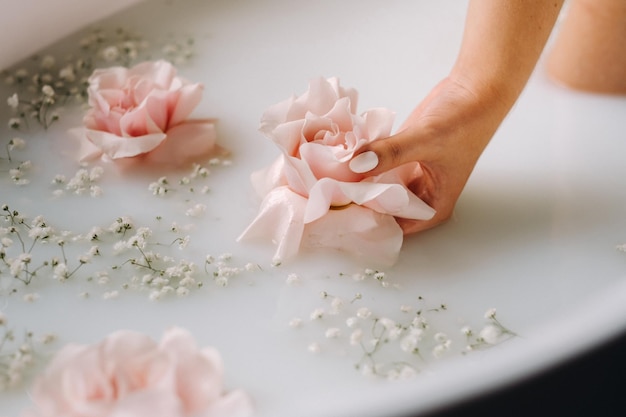 Acqua color latte in un bagno con fiori di rosa e una ragazza con un bocciolo