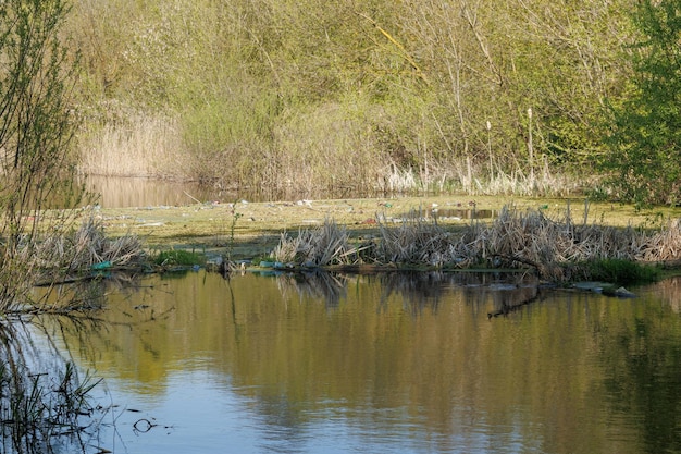 Acqua contaminata e un mucchio di residui maleodoranti e tossici Disastro ecologico il fiume trasporta rifiuti di plastica Rifiuti di plastica nell'acqua Il fiume è molto inquinato da vari detriti tossici