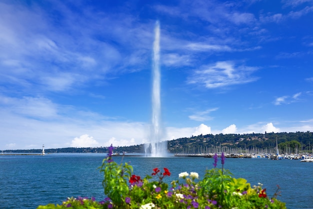 Acqua del lago Geneva Geneve Jet D&#39;eau Svizzera