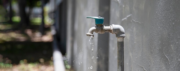 Acqua del rubinetto da utilizzare per innaffiare le piante in giardino.