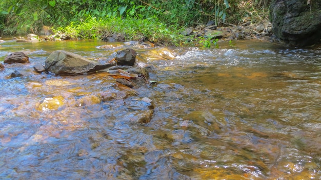 Acqua della corrente nel parco naturale a Phatthalung, Tailandia