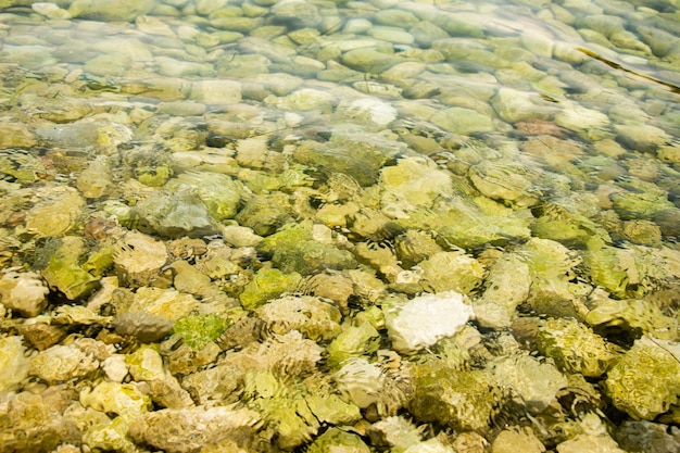 Acqua di mare trasparente e turchese attraverso la quale si possono vedere i ciottoli sul fondo del mare