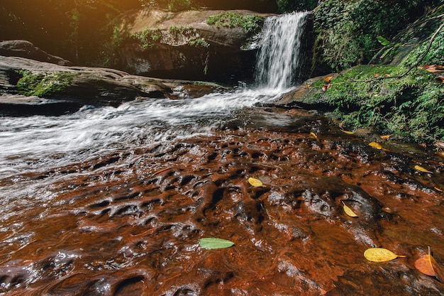 Acqua dolce del ruscello nel parco naturale WIMAN THIP Cascata Bella cascata nella foresta pluviale