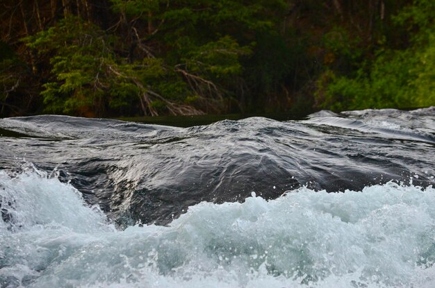 acqua e legno insieme in una scena