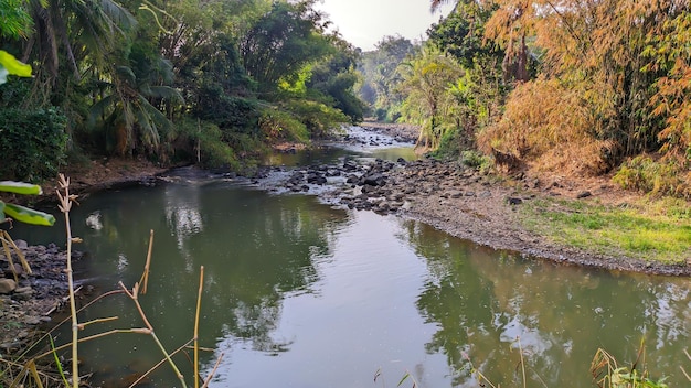 acqua fangosa del fiume