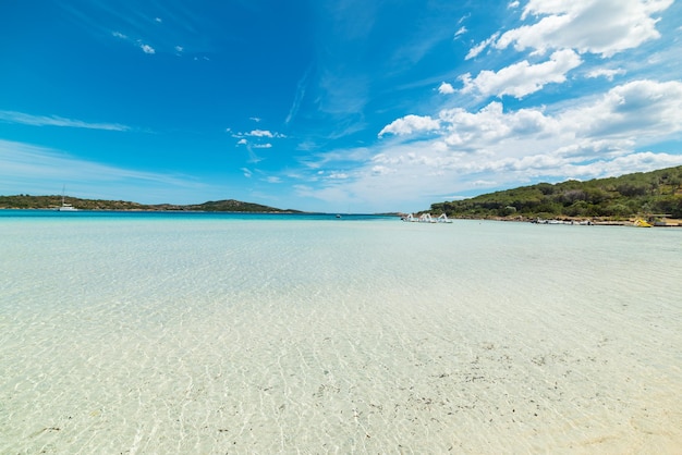 Acqua limpida a Cala Brandinchi Sardegna