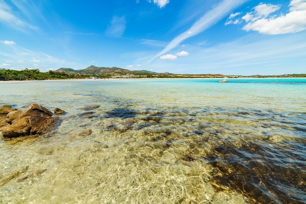 Acqua limpida a Cala Brandinchi