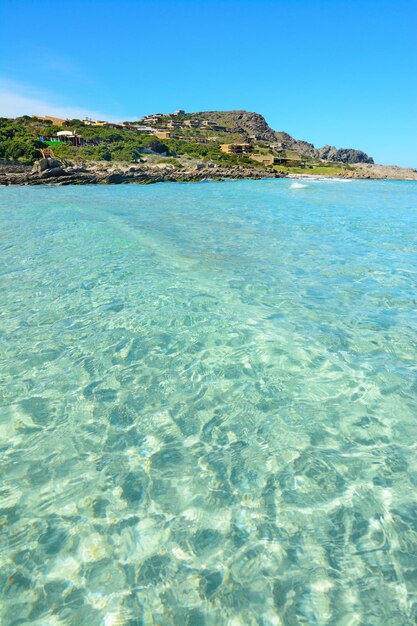 Acqua limpida a Stintino Sardegna