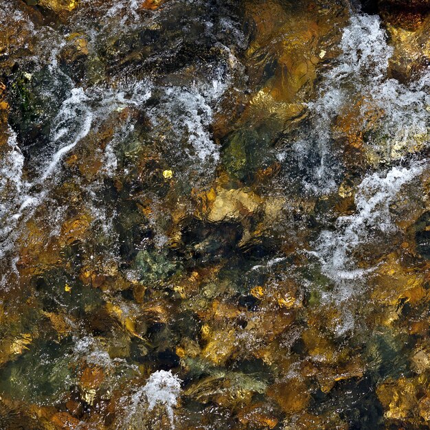 Acqua limpida di un fiume di montagna con fondo roccioso
