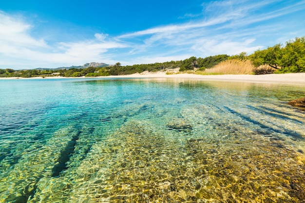 Acqua limpida nella spiaggia La Celvia Sardegna