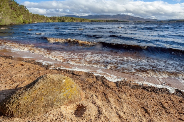 Acqua mossa a Loch Garten in Scozia