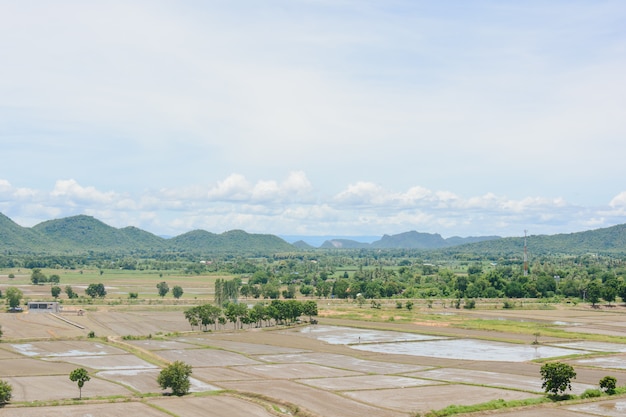 Acqua nel campo di riso per la preparazione del riso in Thailandia