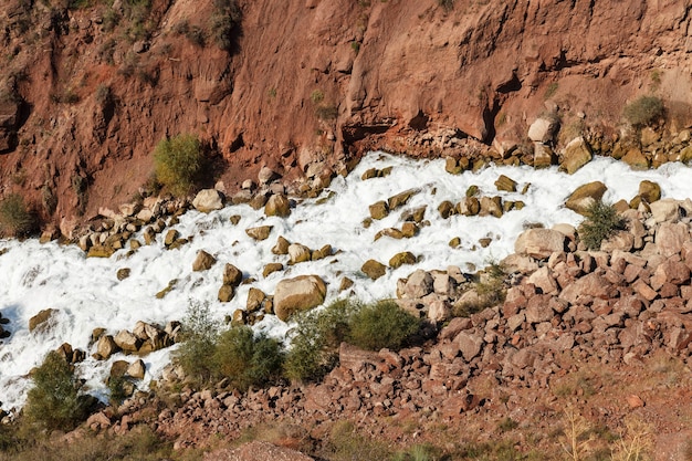 Acqua nel fiume impetuoso della montagna.