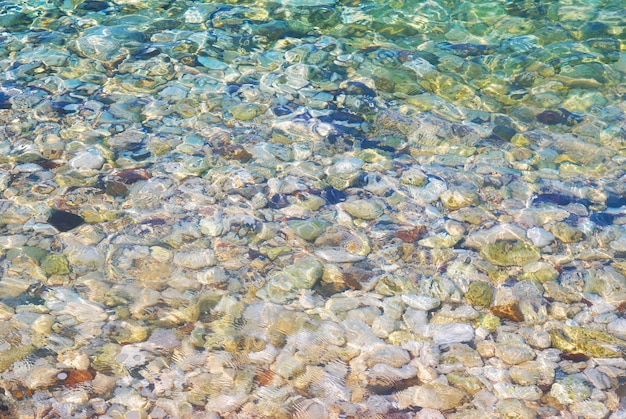 Acqua tropicale blu con riflessi di luce solare