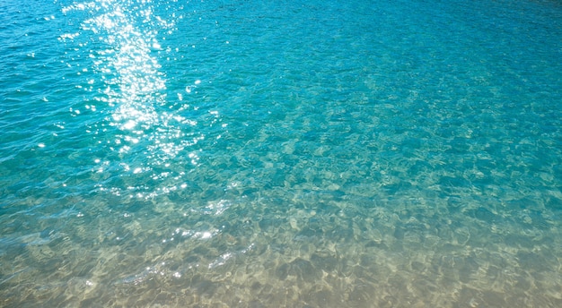 Acqua tropicale della spiaggia trasparente