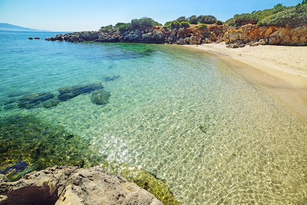 Acqua turchese ad Alghero Sardegna