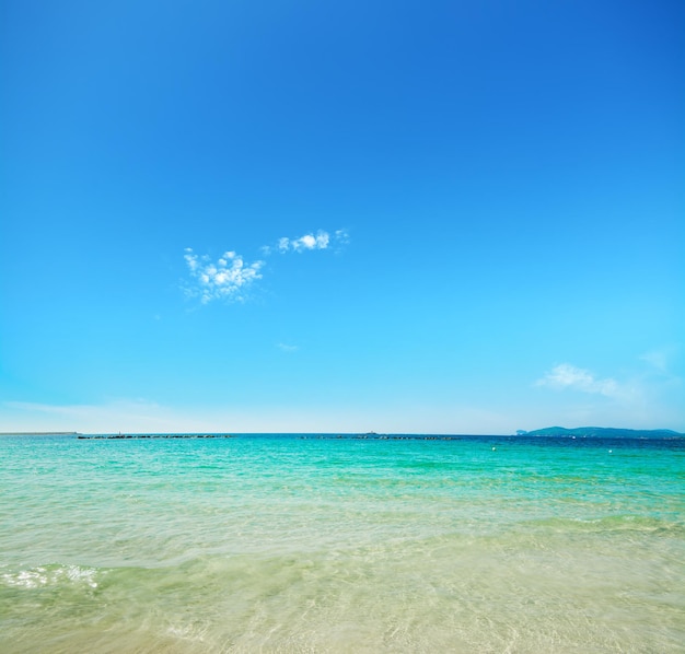 Acqua turchese nella costa di Alghero Sardegna