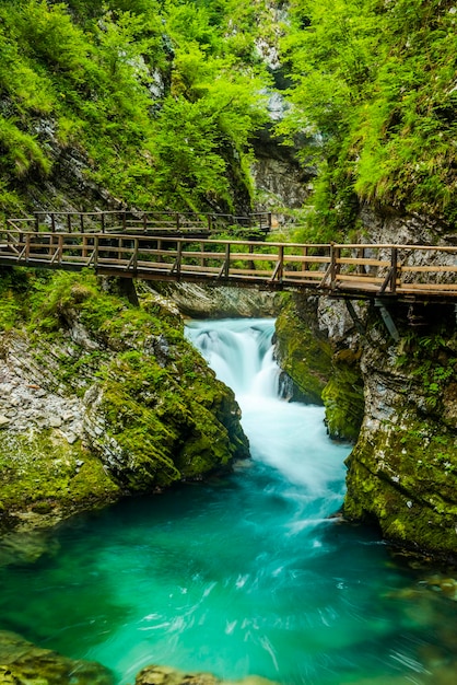 Acqua turchese nella gola di Vintgar in Slovenia Europa Paesaggio selvaggio e natura