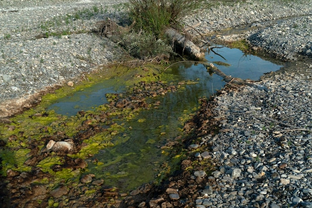 Acqua verde e gialla inquinata del fiume
