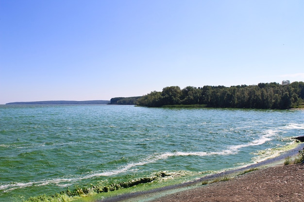 Acqua verde in fiore nel bacino idrico sul fiume Dnieper