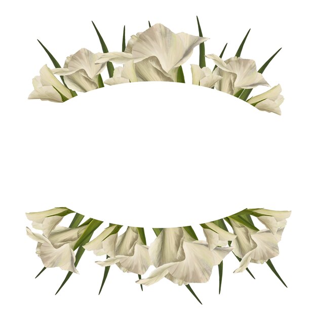 Acquarello gladioli pianta cornice floreale con fiori bianchi boccioli foglie illustrazione dipinta a mano