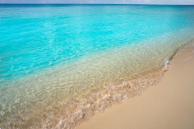 Acque pulite della spiaggia turchese caraibica