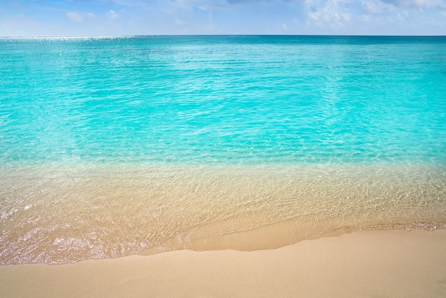 Acque pulite della spiaggia turchese caraibica