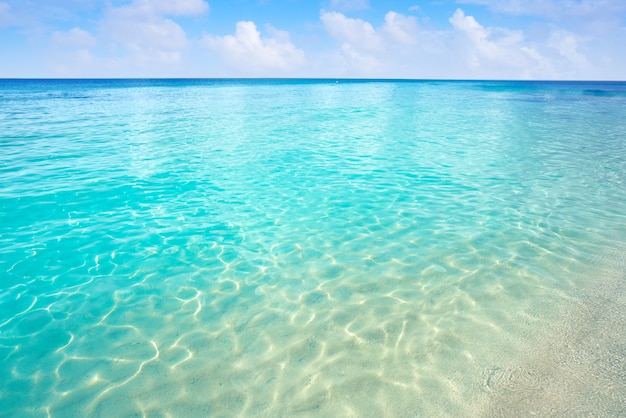 Acque pulite della spiaggia turchese caraibica