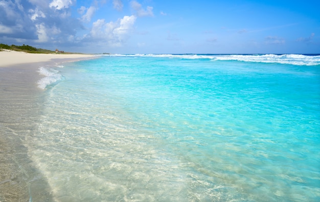 Acque pulite della spiaggia turchese caraibica