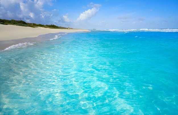 Acque pulite della spiaggia turchese caraibica