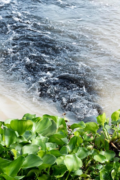 Acque reflue dalle fognature industriali nel fiume