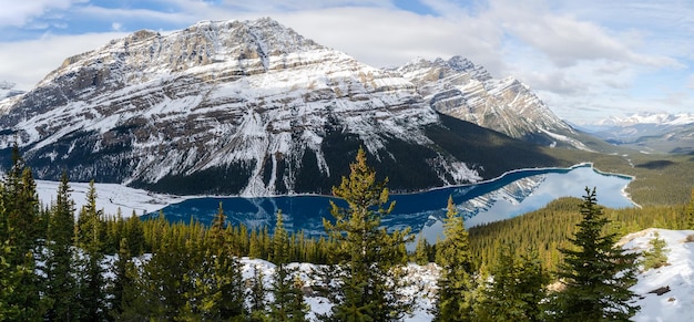 Acque turchesi del lago Peyto del Parco nazionale di Banff in Canada Vista dal vertice di prua xA