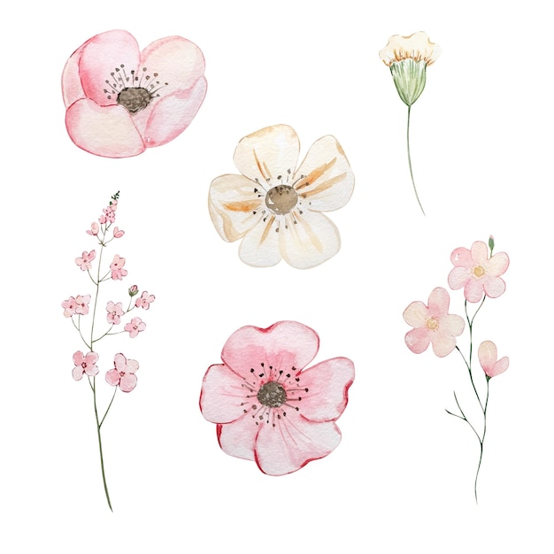 Acquerelli fiori primaverili pastello floreale per il design