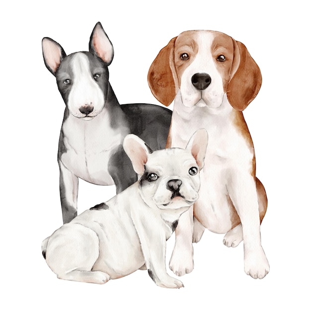 Acquerello cani carini bull terrier bulldog beagle francese illustrazione disegnata a mano clippart isolato