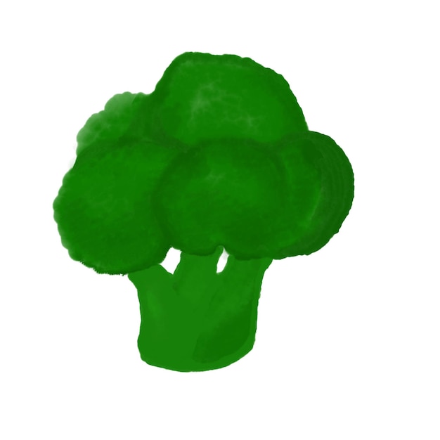 Acquerello di broccoli disegnato a mano