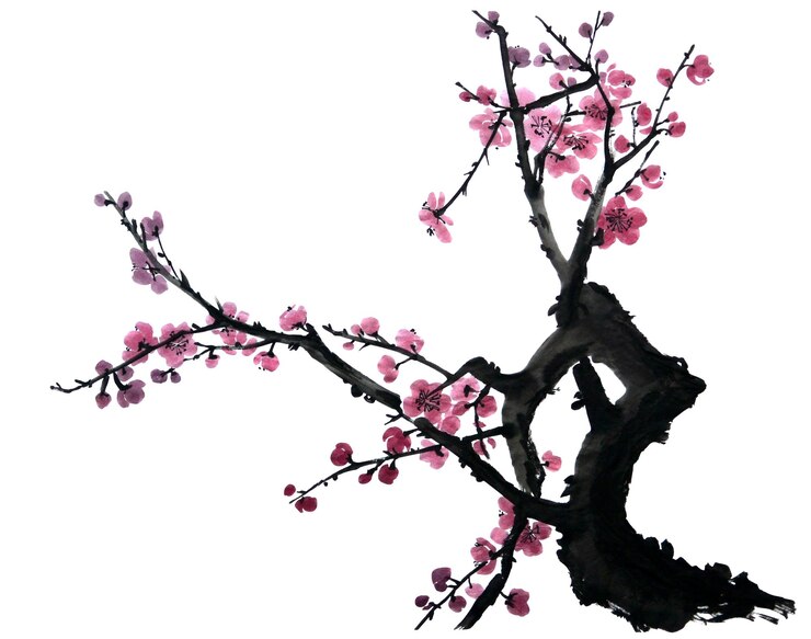 Acquerello di ramo di albero in fiore Fiori rosa e rossi di prugna mei albicocche selvatiche e sakura
