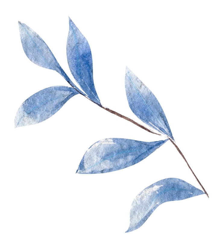 Foto acquerello disegnato a mano ramo di foglie blu