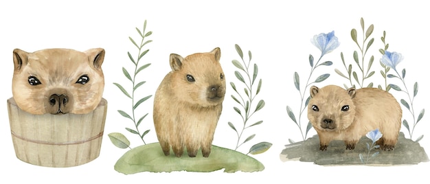 Acquerello disegnato a mano Set di capybara per bambini animali carini