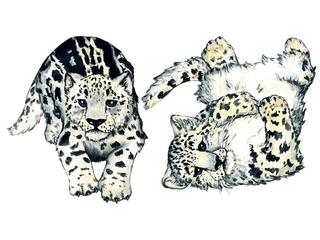 Acquerello foresta selvaggia animali snow leopard gattino irbis Woodland natura illustrazione bambini design
