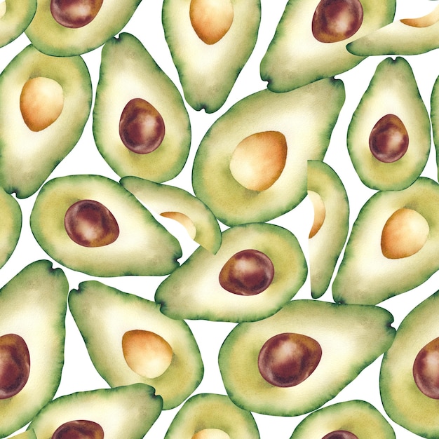 Acquerello frutto di avocado L'illustrazione è disegnata a mano Il disegno senza cuciture è botanico Per la stampa su modello di clippart di tessuto