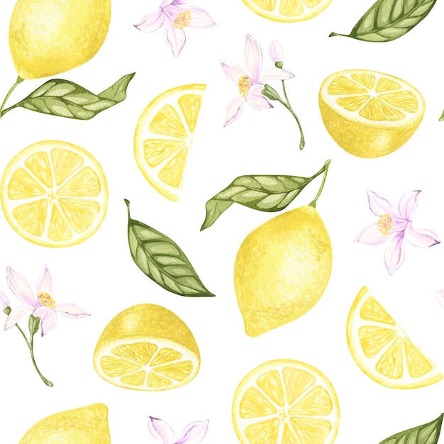 Acquerello limone modello senza cuciture disegnato a mano illustrazione botanica agrumi gialli