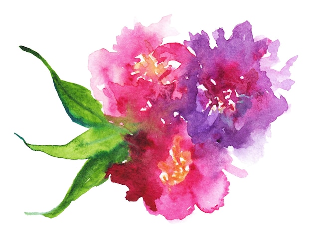 Acquerello rosa viola fiore floreale peonia rosa garofano foglia fiore all'occhiello composizione insieme isolato illustrazione d'arte