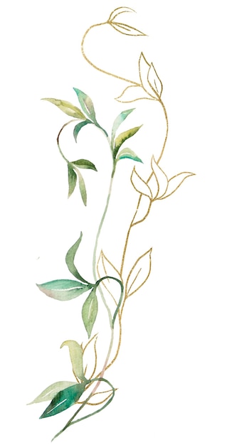 Acquerello verde e dorato foglie botaniche isolate illustrazione elemento di cancelleria di matrimonio.