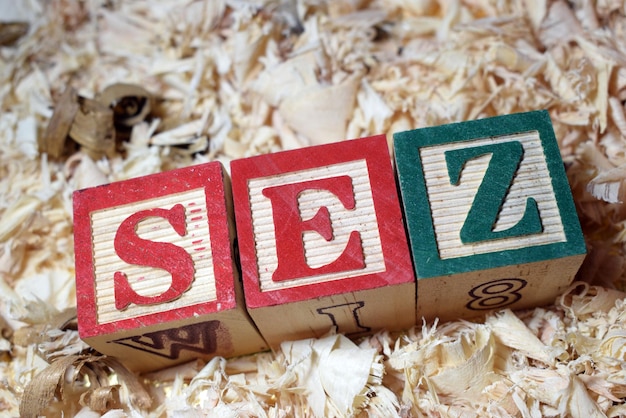 Acronimo di ZES (Zone Economica Speciale) organizzato in blocchi di legno