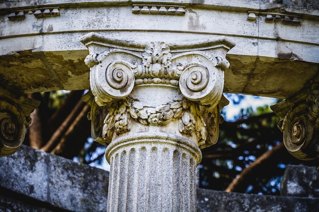 acropoli, colonne in stile greco, capitelli corinzi in un parco