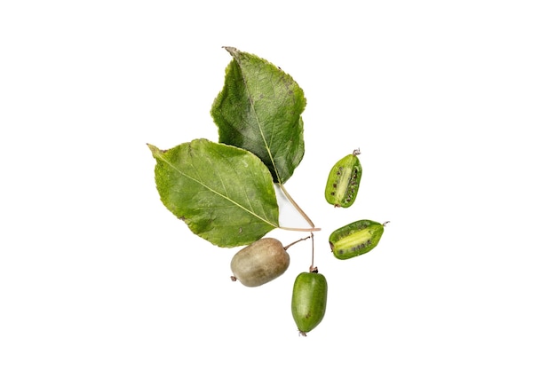 Actinidia maturo arguta o kiwi isolato su sfondo bianco. Rami di frutta fresca con foglie verdi, mockup, template