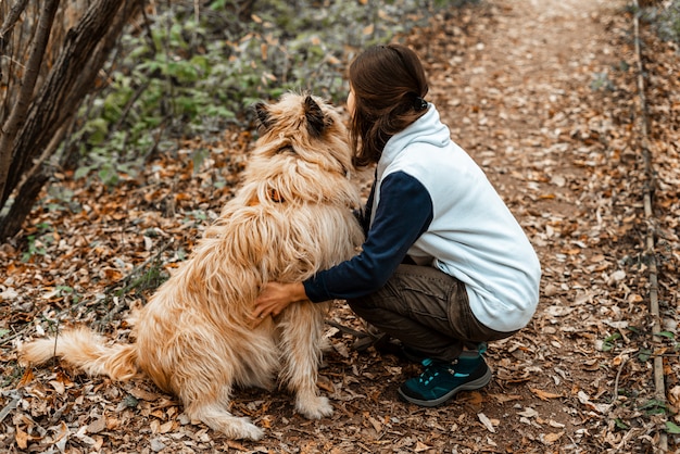 Addestramento degli animali. Una ragazza volontaria cammina con un cane da un rifugio per animali. Ragazza con un cane nel parco di autunno