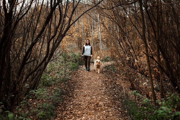 Addestramento degli animali. Una ragazza volontaria cammina con un cane da un rifugio per animali. Ragazza con un cane nel parco di autunno