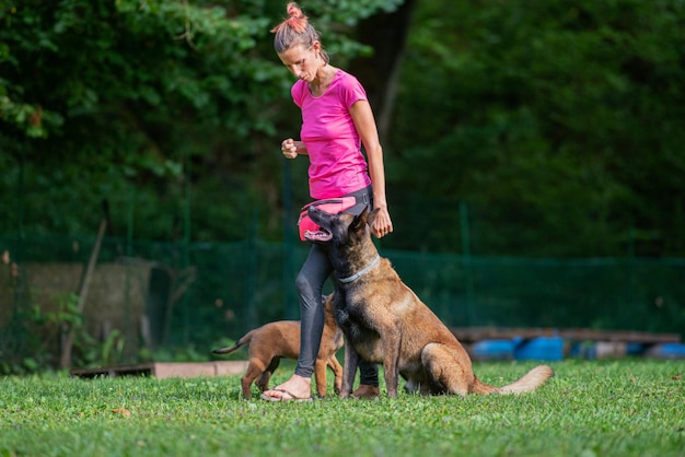 Addestratore di cani femminile che lavora con il suo pastore belga malinois dos fuori